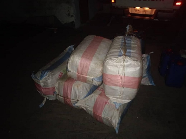 image Une saisie record de cannabis à Anjouan