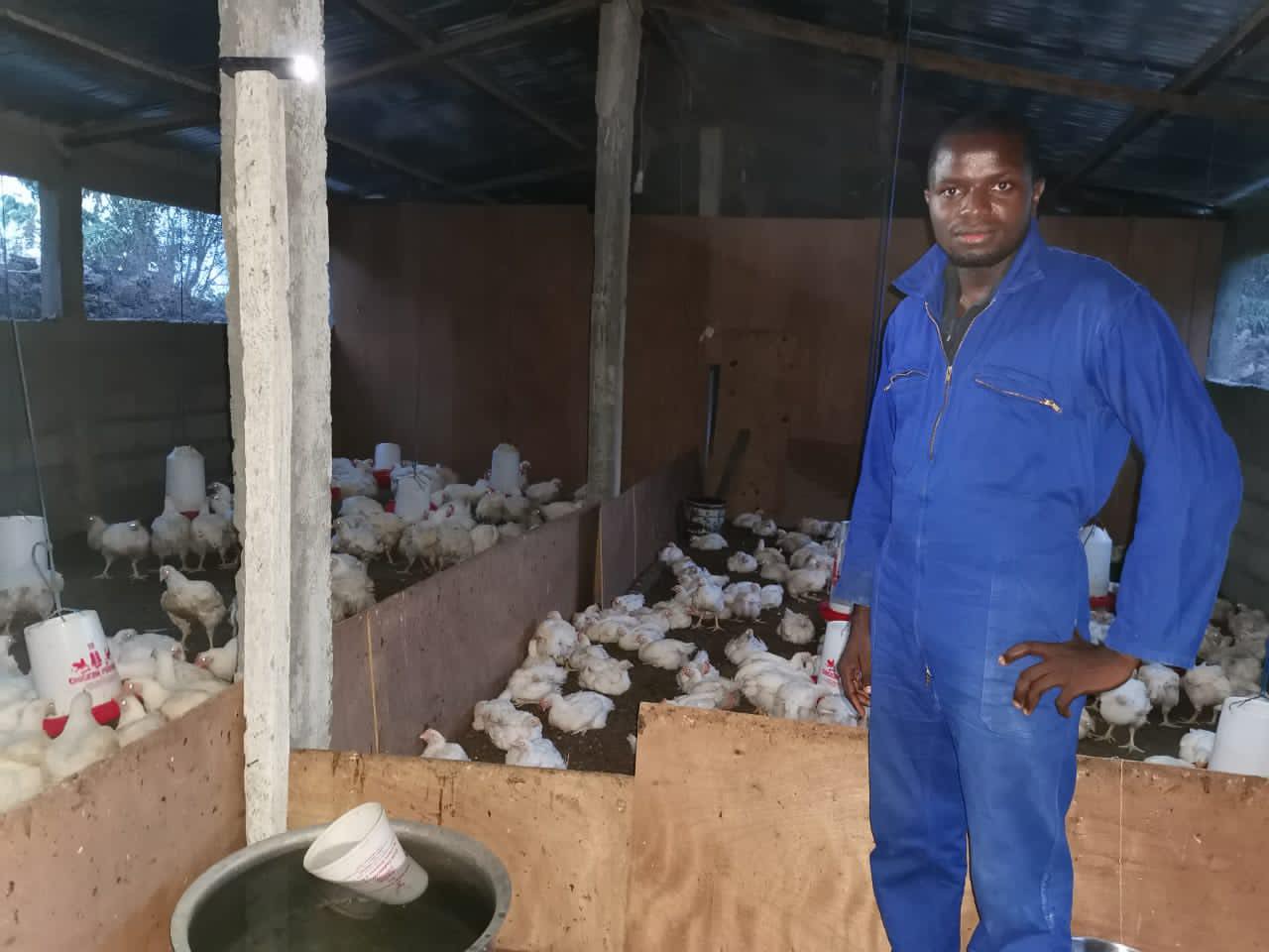 Un jeune de la diaspora se lance dans l’aviculture à Irohé