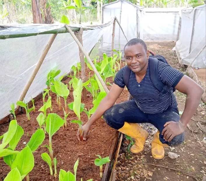 Fayçal Bianrif utilise la méthode PIF pour produire plus de bananes