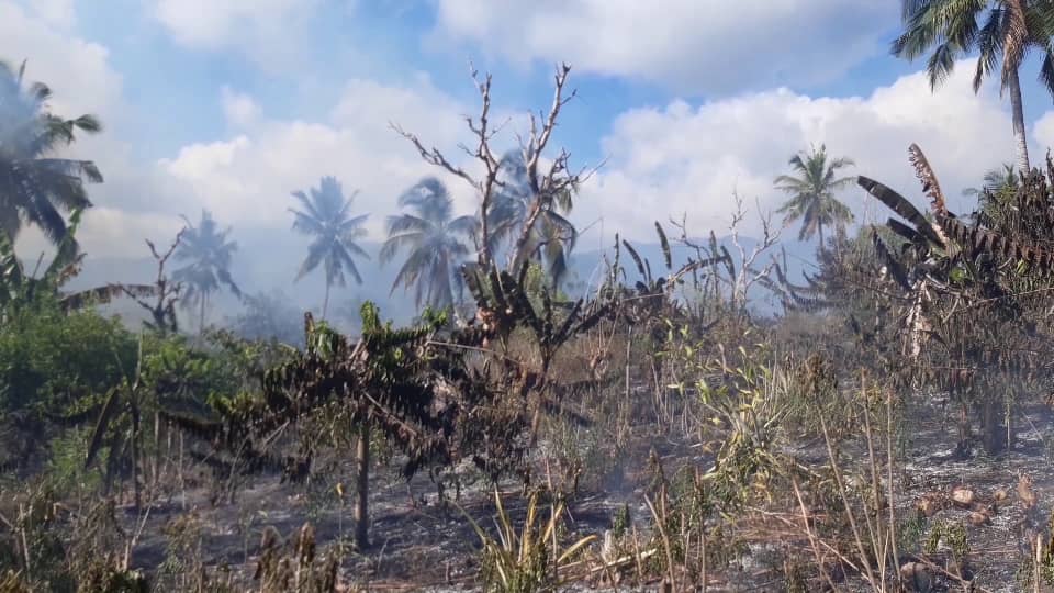 image Les feux de forêt se multiplient dangereusement à Mohéli