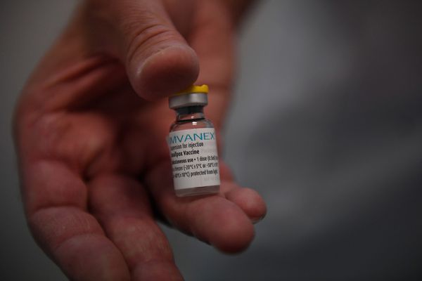 image Variole du singe:  Le pays doit miser sur la vigilance