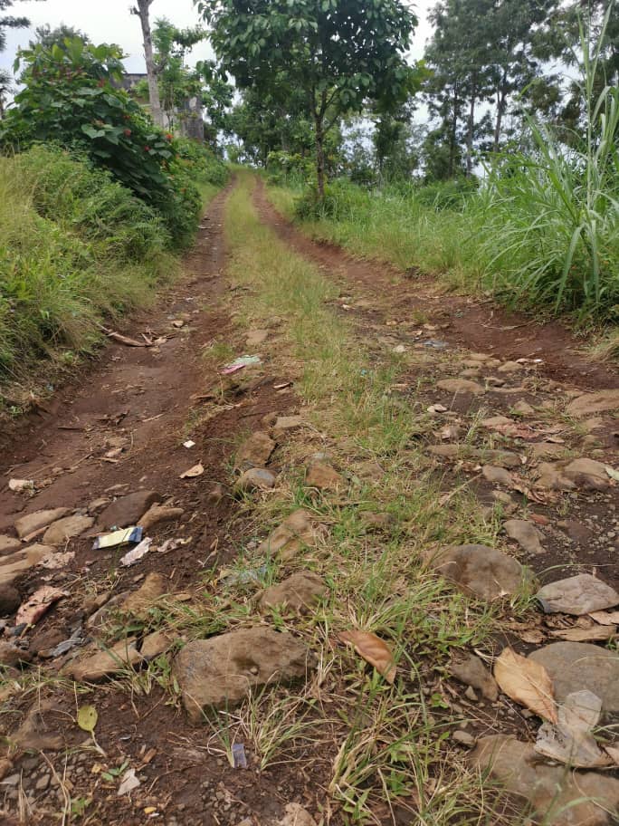 image Près de 6km de pistes rurales seront ouvertes dans le Nyumakele