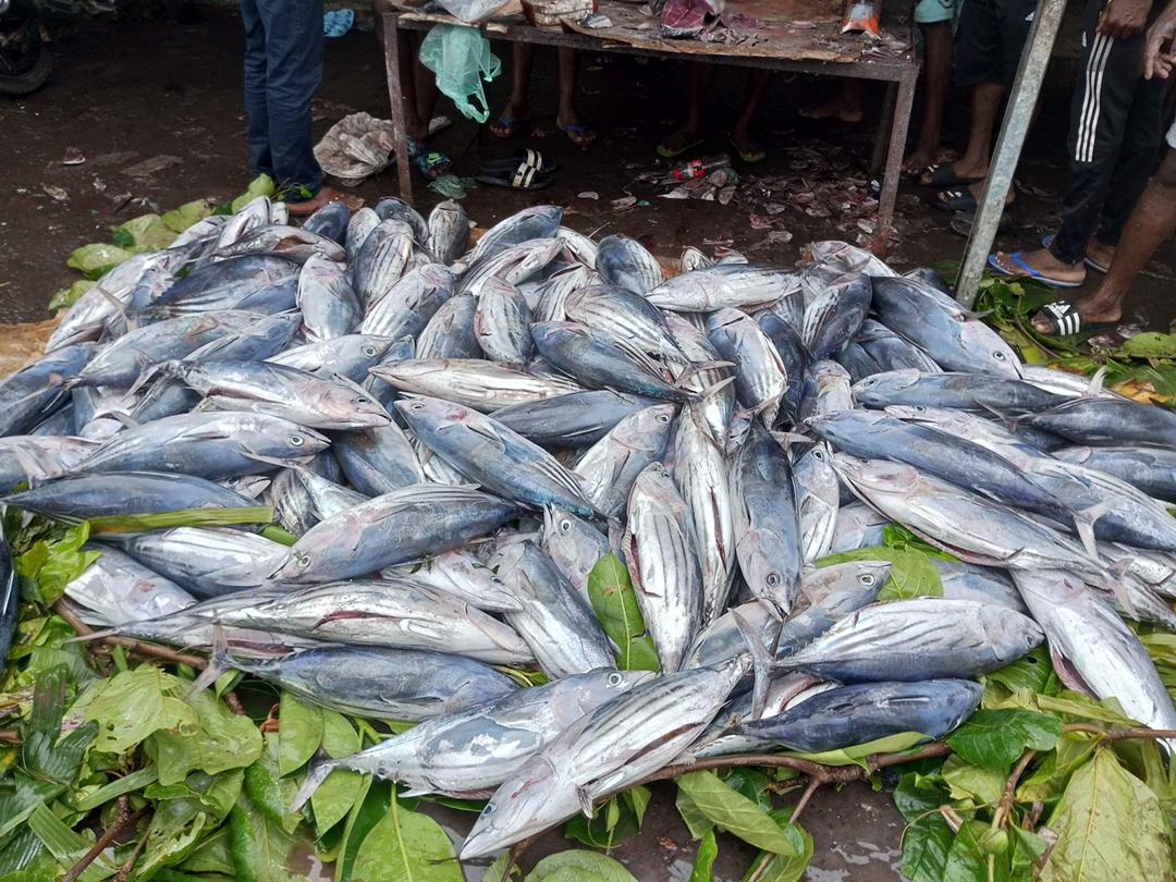 Le prix du poisson en baisse à Anjouan