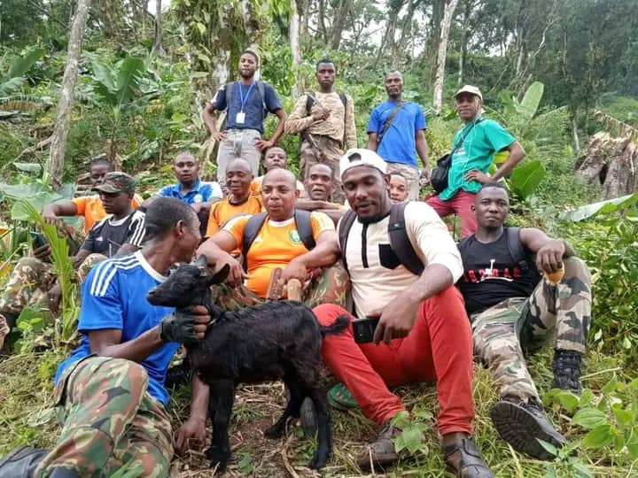 Une stratégie de surveillance adaptée contre la déforestation est mise en place