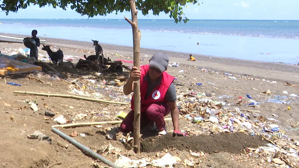 image La journée mondiale dédiée aux tsunamis a été célébrée à Mohéli