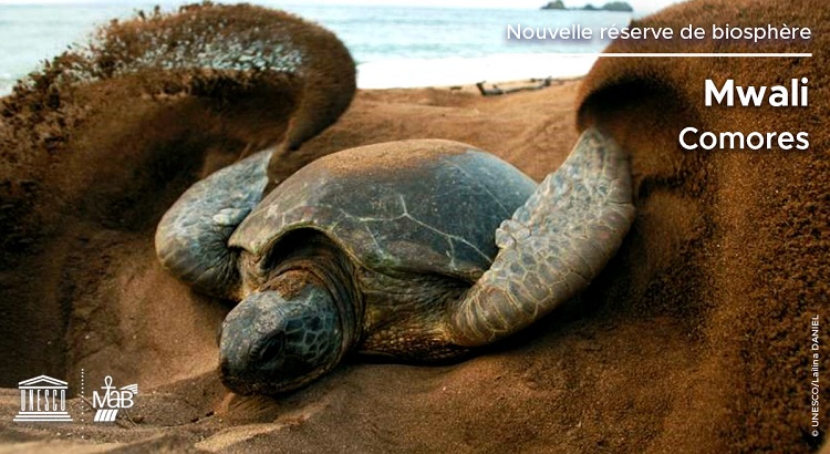 image Mohéli classée par l'Unesco parmi les réserves naturelles de la biosphère mondiale