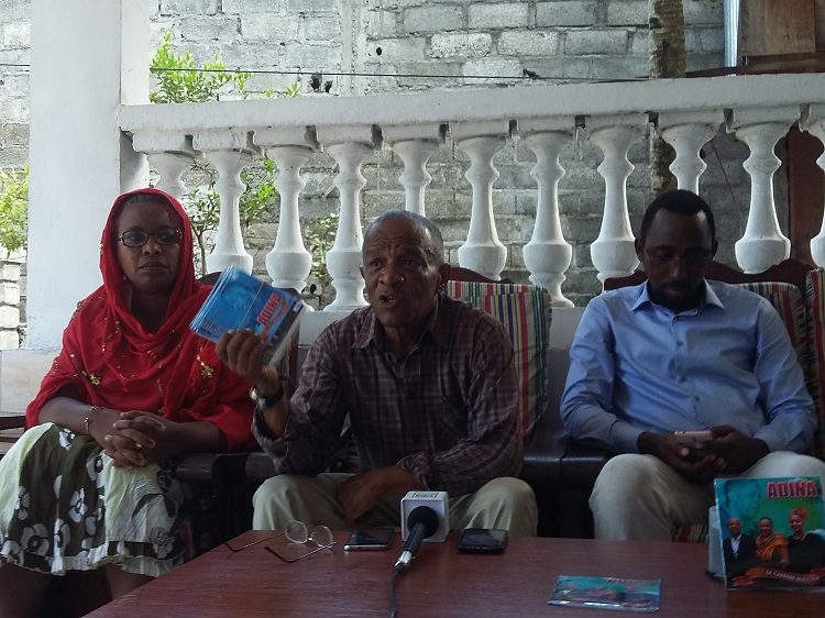 image Culture / Adina, la musique plus qu’une carrière