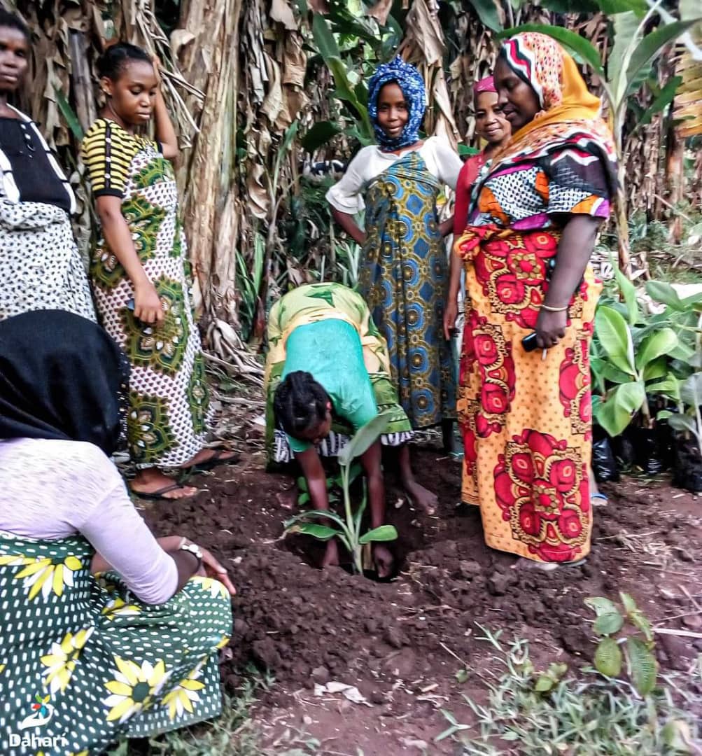 image L'autosuffisance alimentaire passe par la bonne plantation