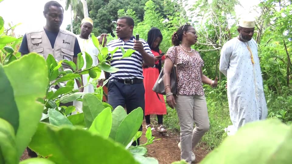 image Visite à Mohéli du représentant du FIDA sur des sites agricoles
