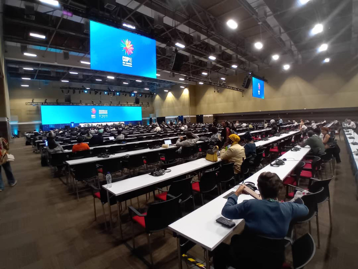 image Biodiversité / Clôture de la 16ème Conférence des Parties : un goût d’inachevé