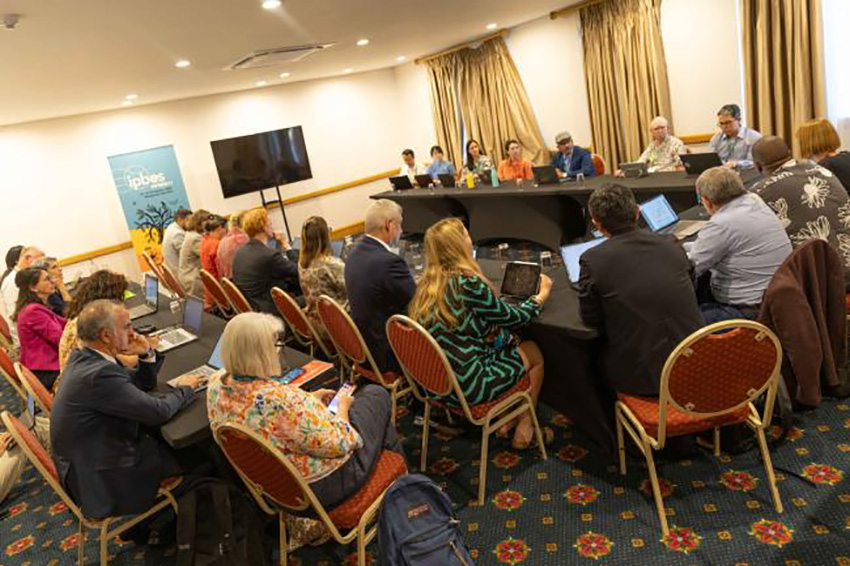 image Clôture de la 11e session de la Plateforme intergouvernementale (IPBES 11) De nombreux participants ont exprimé leur satisfécit