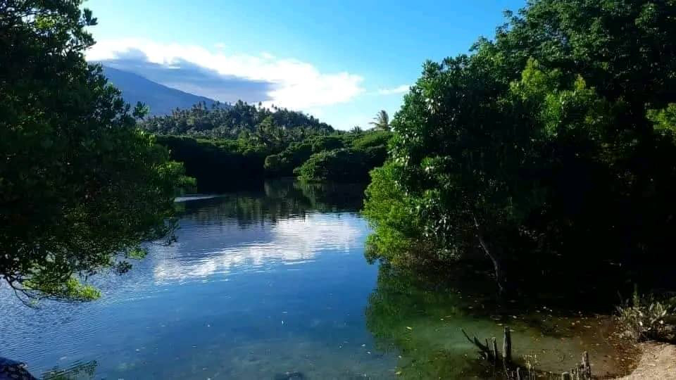 image Lac Nkabwe : Le joyau naturel d’Iconi aux arbres immergés
