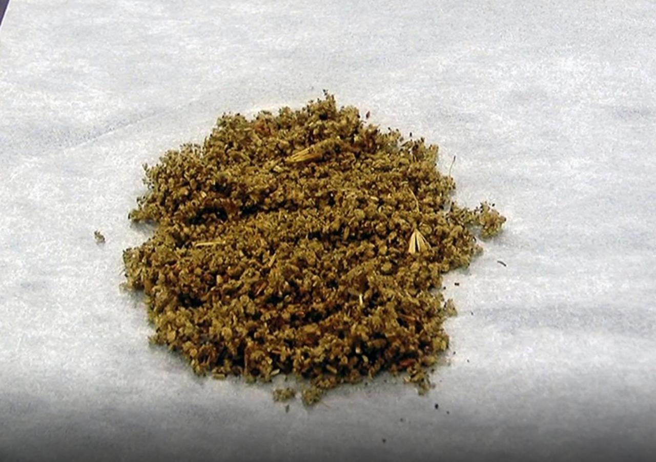 Drogue :  Une jeunesse en quête de repères