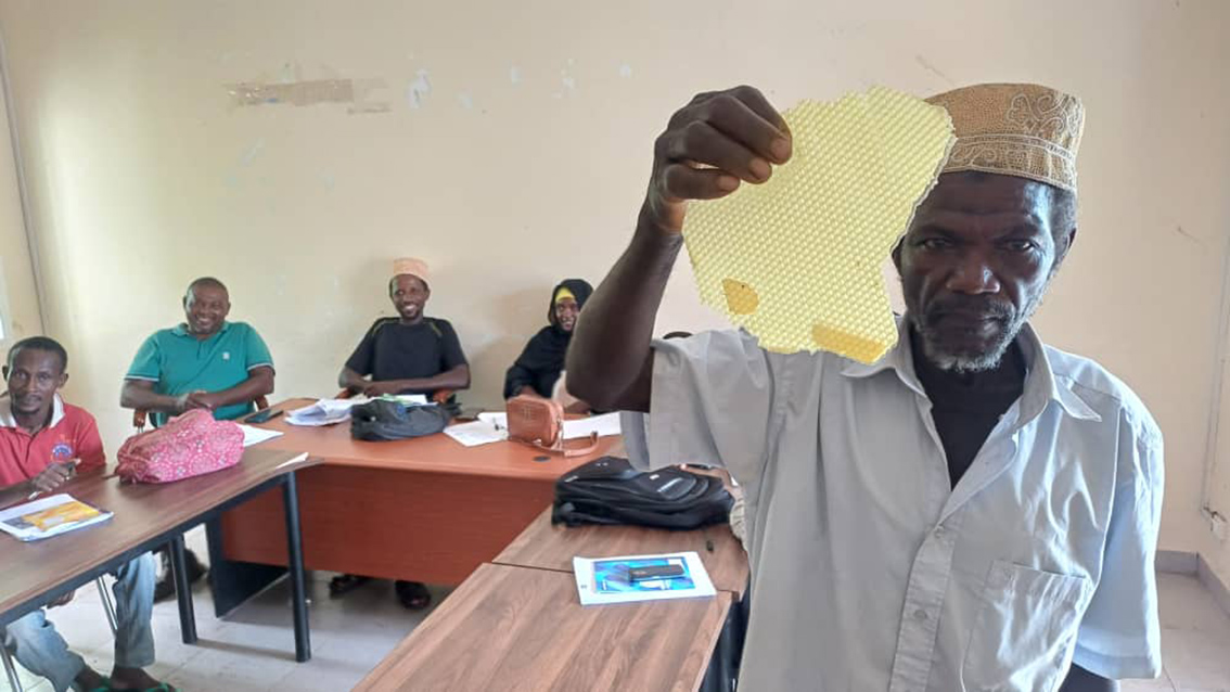 image Former des apiculteurs professionnels pour dynamiser le secteur