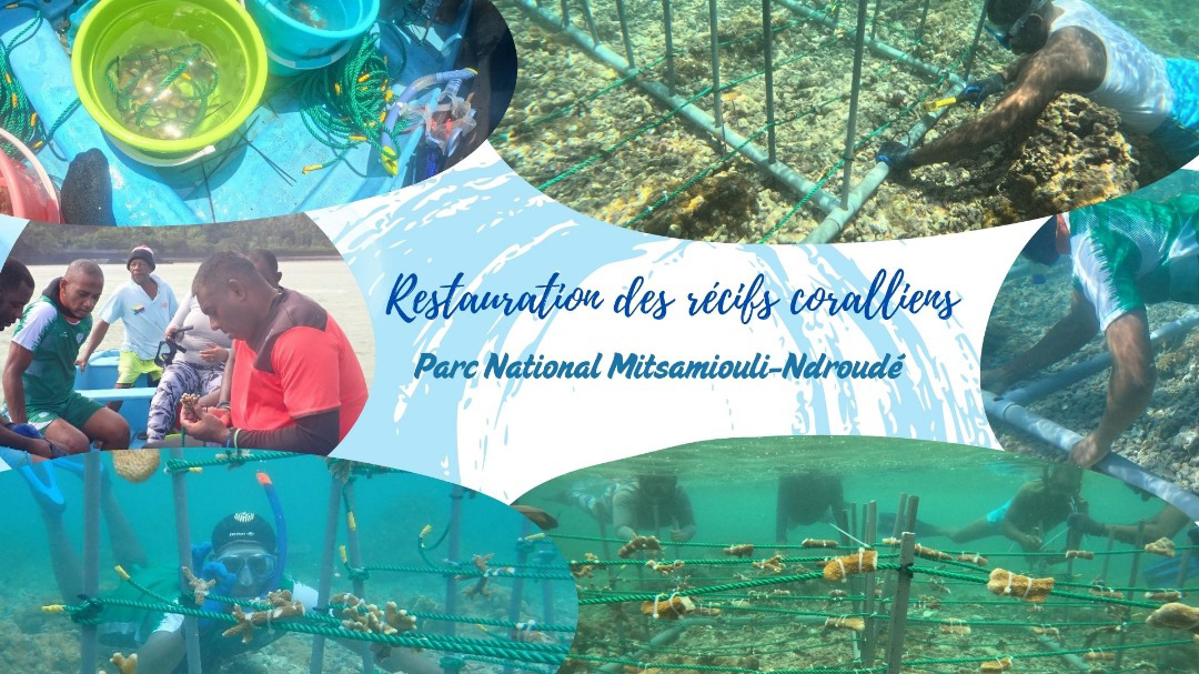 image Les Comores face à l’Océan :  Enjeux économiques et perspectives d’une économie bleue durable