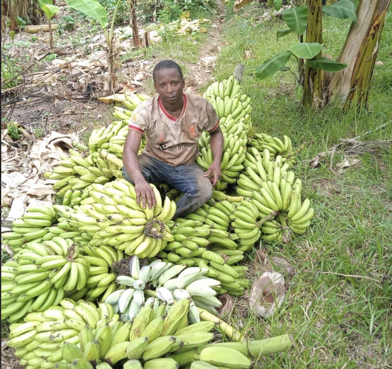 Mboimadji :  Des récoltes abondantes, mais toujours enclavées