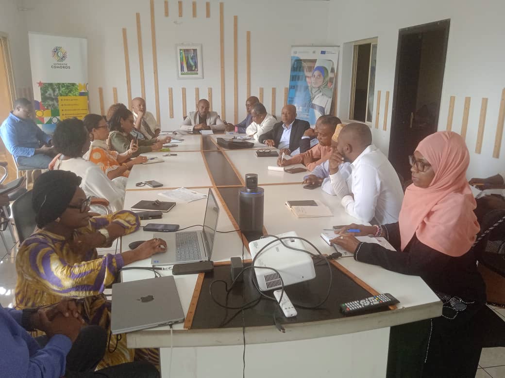 Projet APILE-ONUDI :  Douze entreprises comoriennes en restitution de leur mission au Sénégal