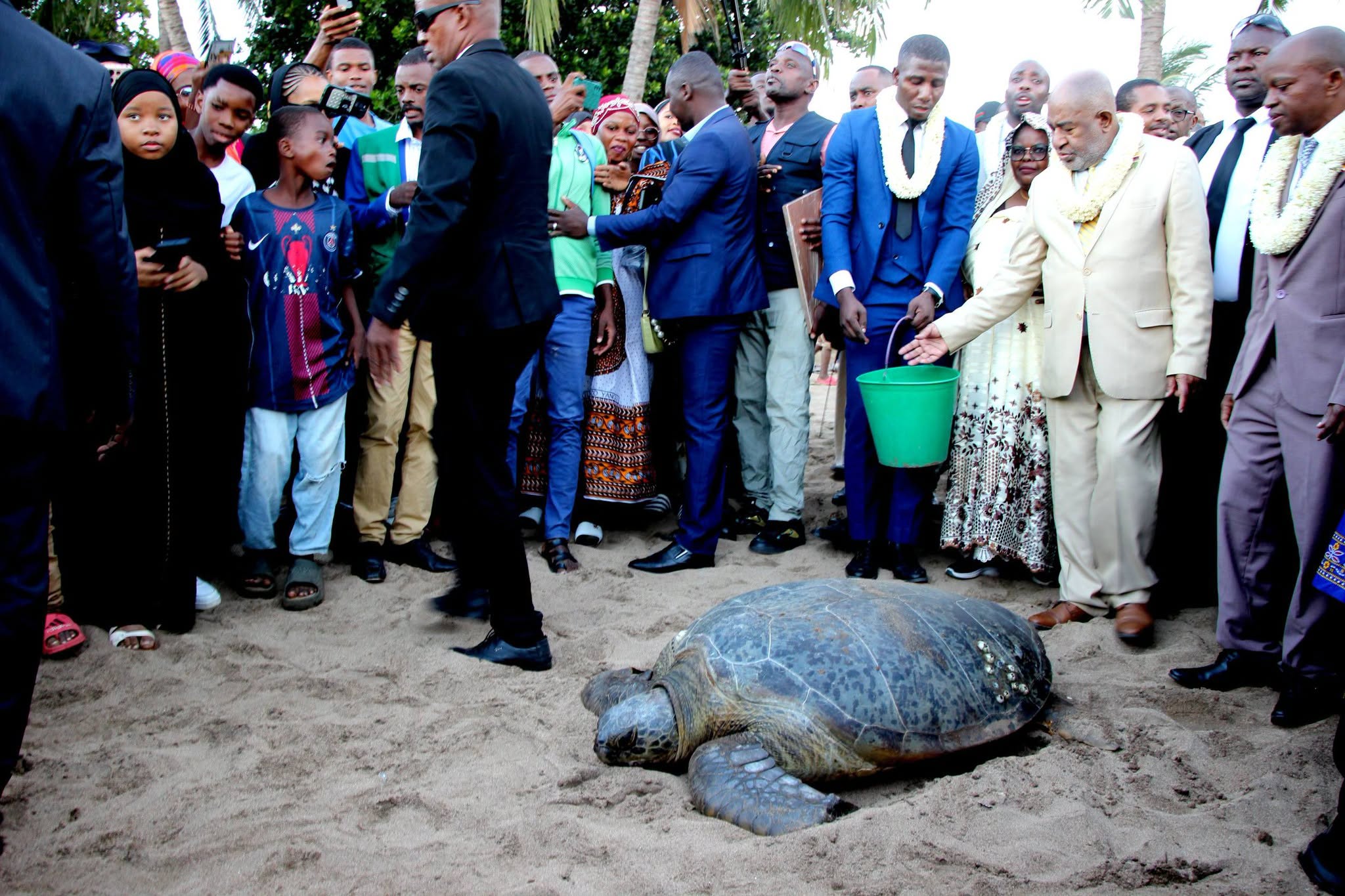 28ᵉ édition de la journée de la tortue marine: Itsamia confirme son statut de capitale de la conservation marine