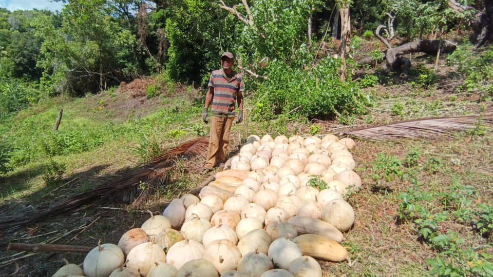 image De chauffeur de taxi à agriculteur prospère : La réussite inspirante de Mirhane Absoir