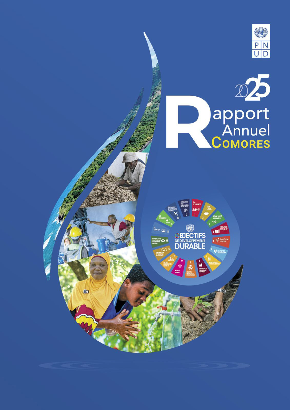 Rapport annuel 2025 du PNUD :  Des résultats concrets portés par les communautés