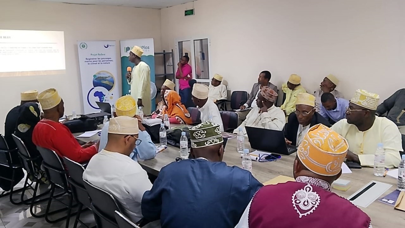 image Le projet RESEA accélère la reconquête des écosystèmes marins