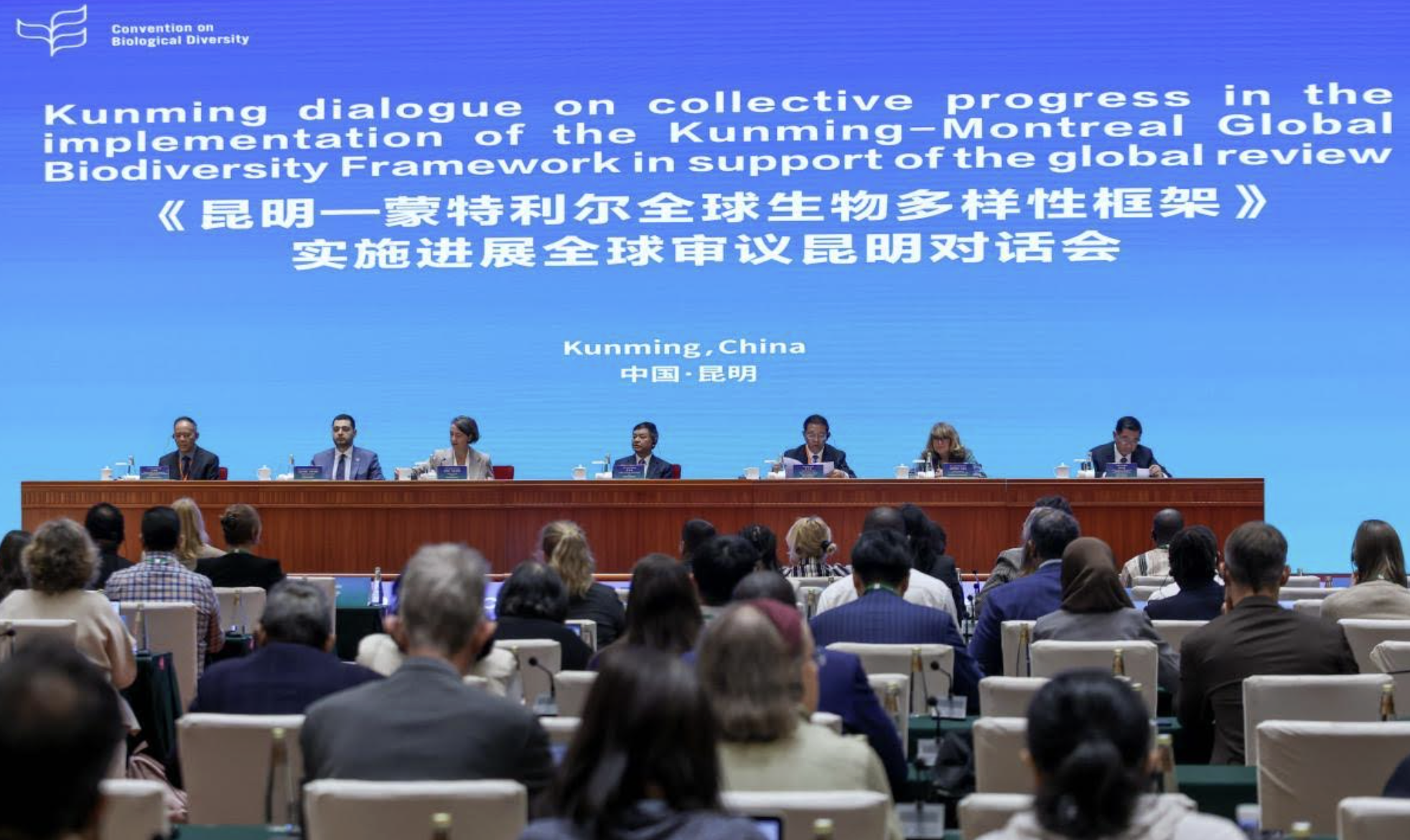 image Préparation de la COP 17 sur la Biodiversité: Dialogue sur le Cadre mondial de Kunming-Montréal pour la biodiversité