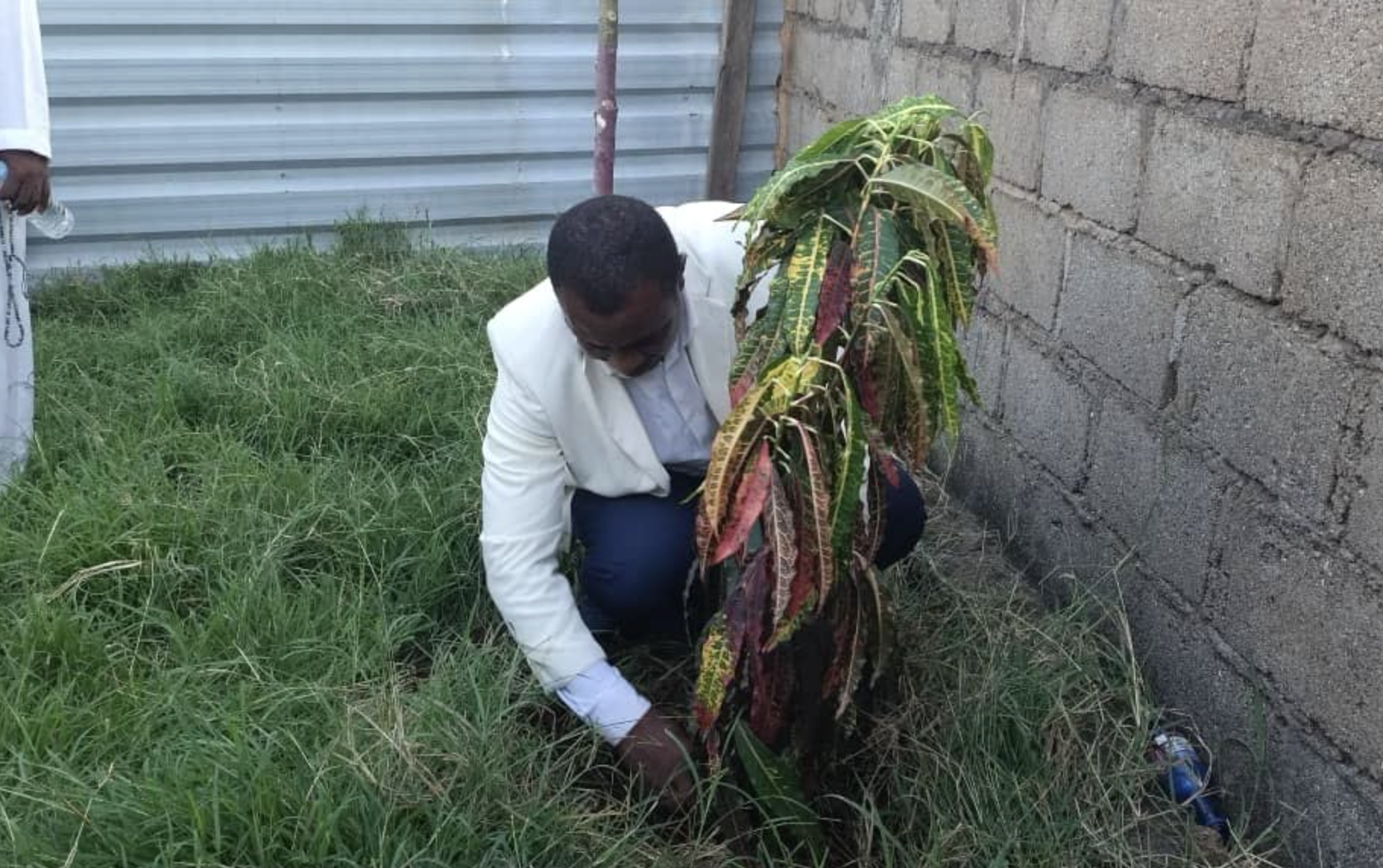 image Projet BLM - Bangoma : L’école se met au vert avec le projet PEC