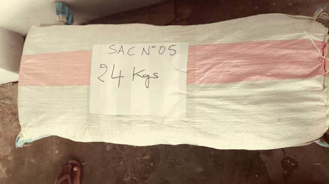 image Lutte contre les trafics de drogue : Près de 150 kilos de cannabis interceptés en mer