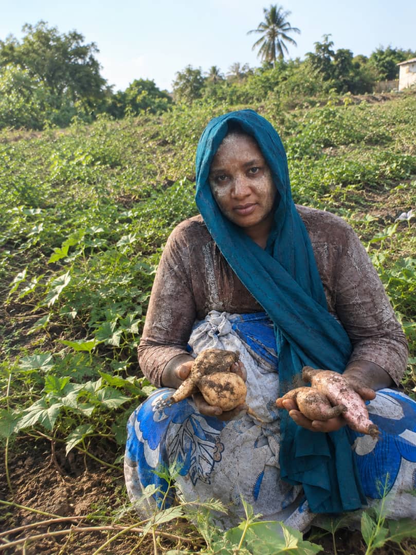 image Entreprenariat :  Hafifa transforme la patate douce en source de revenus