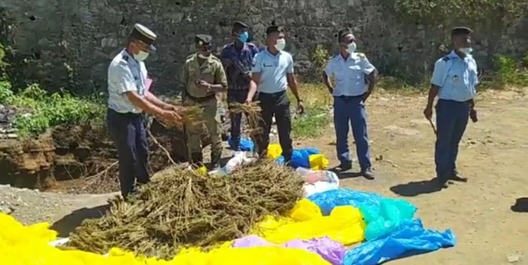 19 kg de drogue saisis et brûlés à Mutsamudu 