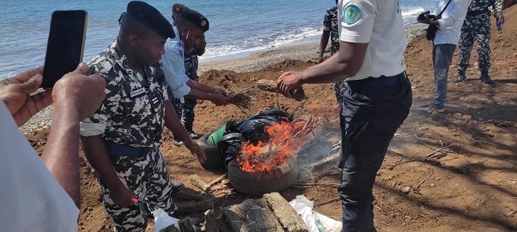 image 75 kg de cannabis brûlés par la brigade de la police de Fomboni