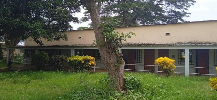 image Plus de 37 enfants souffrent de la drépanocytose à Mohéli