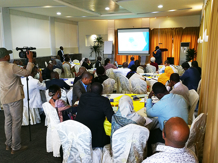 image Atelier National sur la révision de l’UNDAF  Révision de l’UNDAF pour s’aligner à la SCA2D révisée 2018-2021