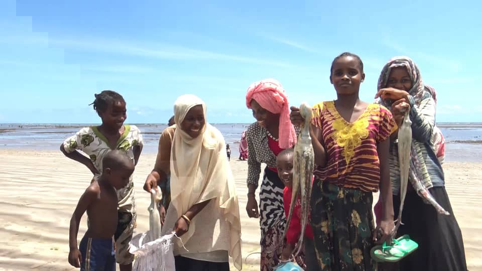 La pêche aux poulpes est rouverte à Ntakoudja