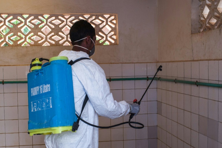 image Peste à Madagascar : Quelles dispositions pour les Comores ?
