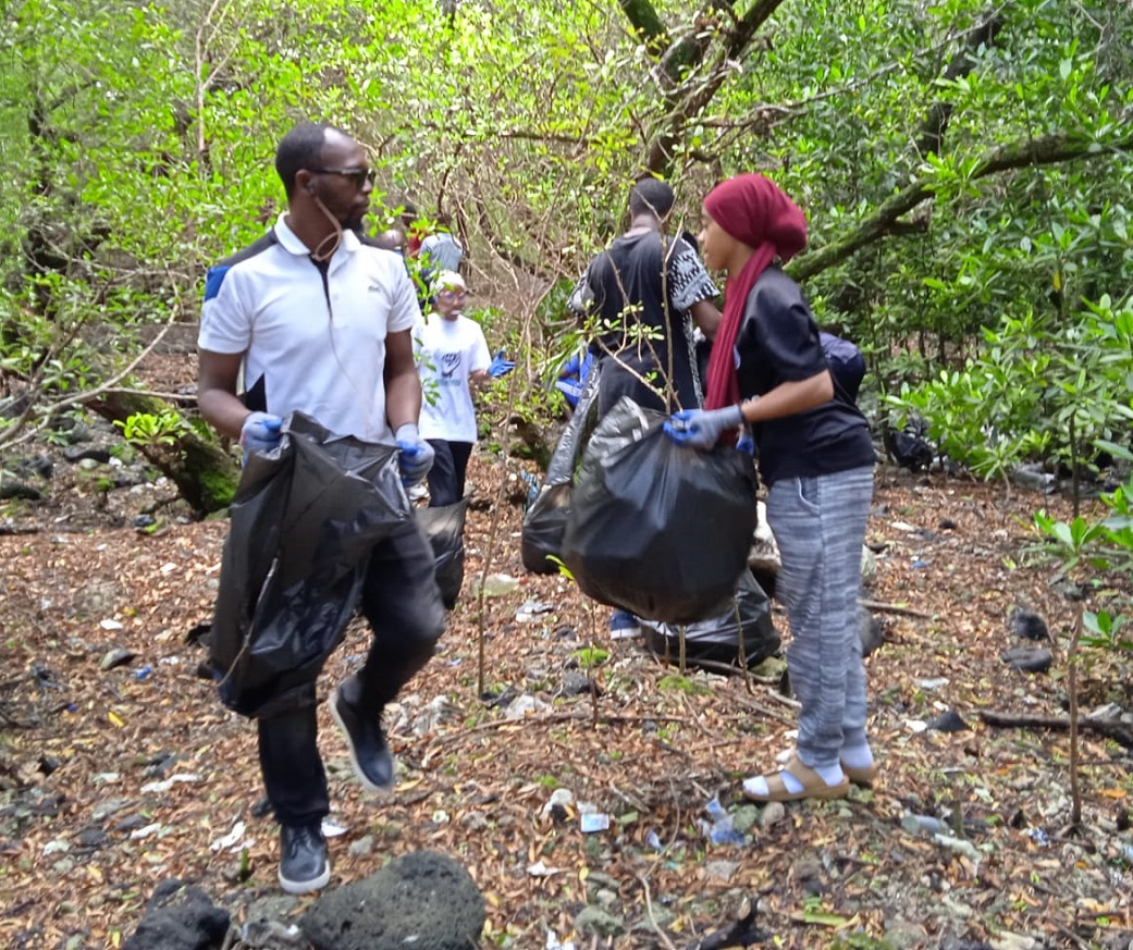 Ngo’shawo appelle à protéger les mangroves